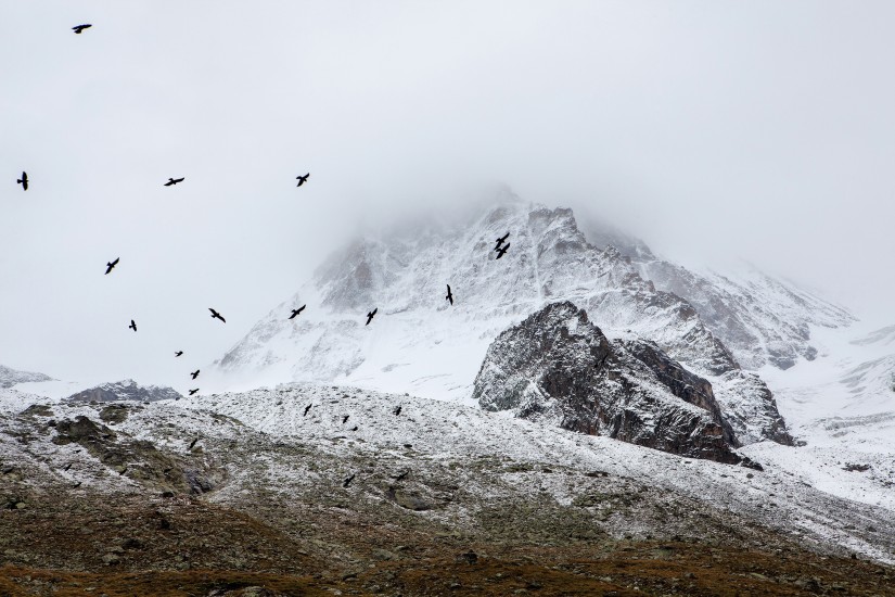 Adventurous Trip To Annapurna Base Camp